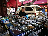 [MELB00181.jpg]