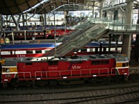 [MELB00191.jpg]